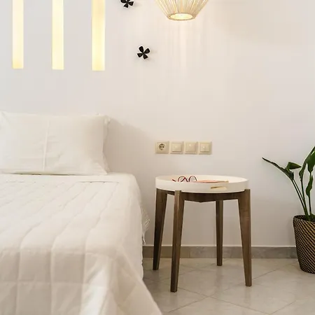 Exclusive 아파트 Naxos City