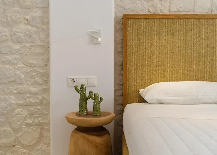 Exclusive Naxos City