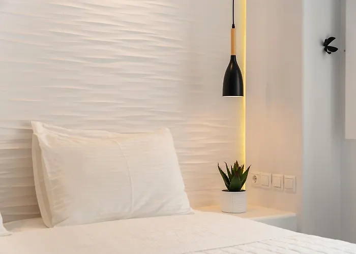 Exclusive Naxos City